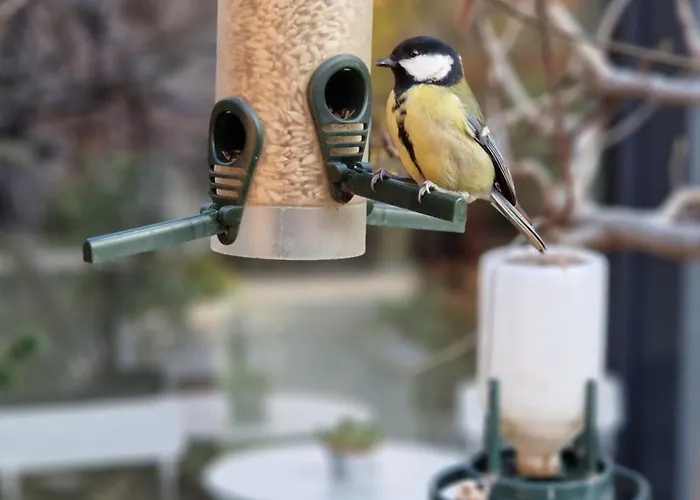 27 Апартаменты Варна