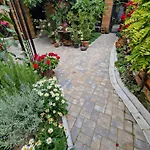 Apartman 27